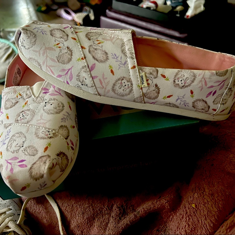 Bran new never worn Tom's size 9 hedgehog 🦔 limited edition